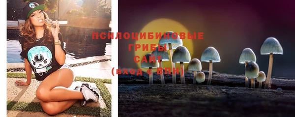 первитин Карпинск
