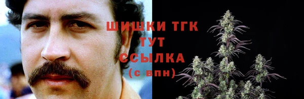 первитин Карпинск