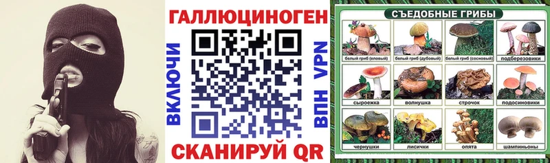 Псилоцибиновые грибы GOLDEN TEACHER  Купить где  Новая Ляля 